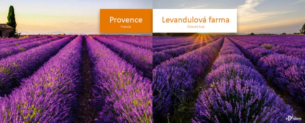 Provence versus Levandulová farma pod Řípem